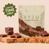 Mushroom Chocolates Rye (15 pieces) Bright M031-144