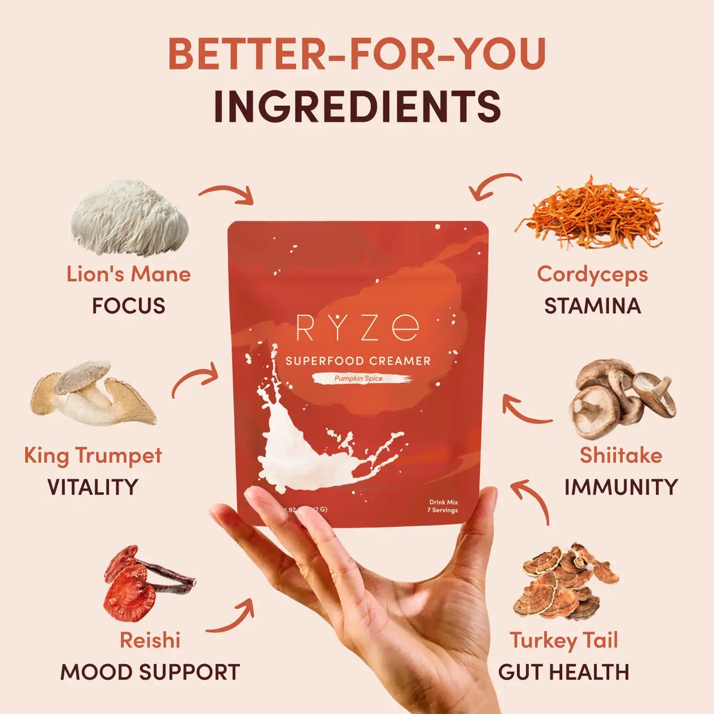 Pumpkin Spice Superfood Creamer Add-On (SPECIAL PRICING) Smooth M031-082