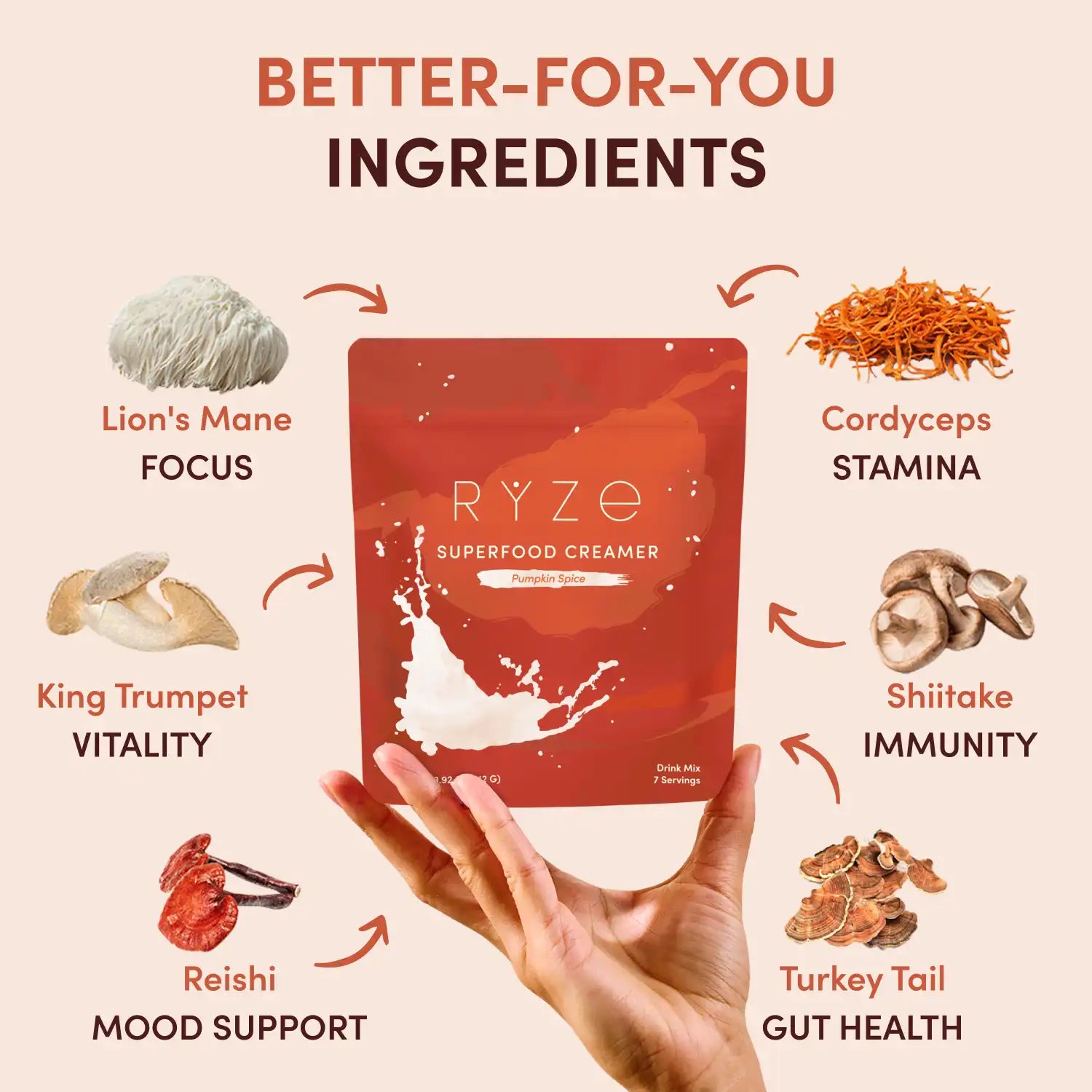 Pumpkin Spice Superfood Creamer Add-On (SPECIAL PRICING) Smooth M031-082