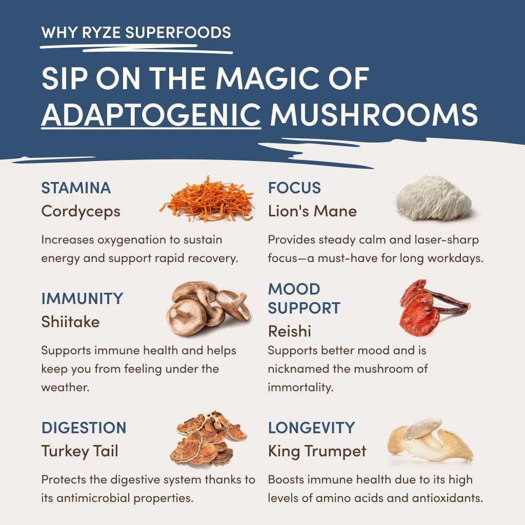 RYZE Nighttime Mushroom Cocoa Starter Bag Pure M031-201