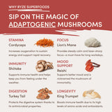 RYZE Mushroom Chai Starter Bag Choice M031-196