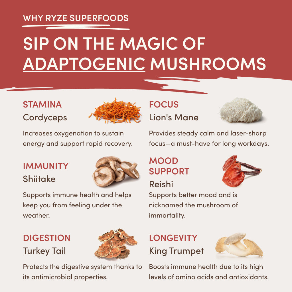 RYZE Mushroom Chai Starter Bag Choice M031-196