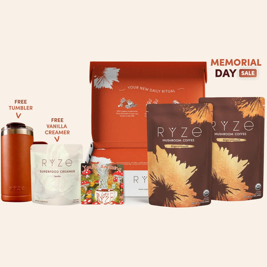 Mushroom Coffee Starter Kit 60 Serving Daily M031-024