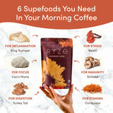 Mushroom Coffee (1 pack - 30 Servings) Essential M031-133