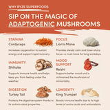 Mushroom Coffee (1 pack - 30 Servings) Essential M031-133