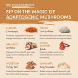 Mushroom Overnight Oats (14 Servings) Bright M031-091