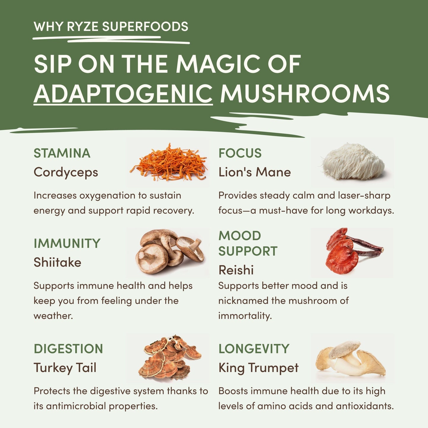 Mushroom Matcha (1 Pack - 30 Servings) Daily M031-099
