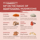 Mushroom Chai (1 Pack - 20 Servings) Pure M031-157