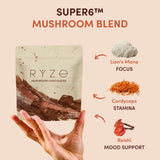 Mushroom Chocolates Rye (15 pieces) Bright M031-144