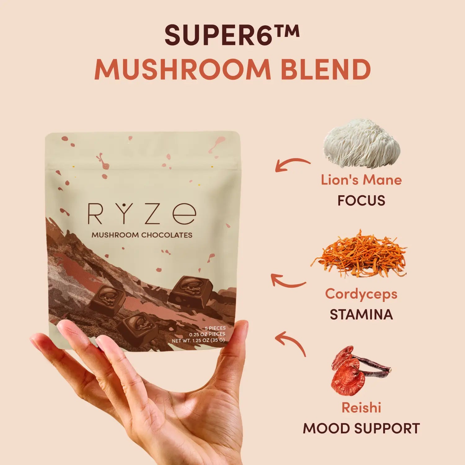 Mushroom Chocolates Rye (15 pieces) Bright M031-144