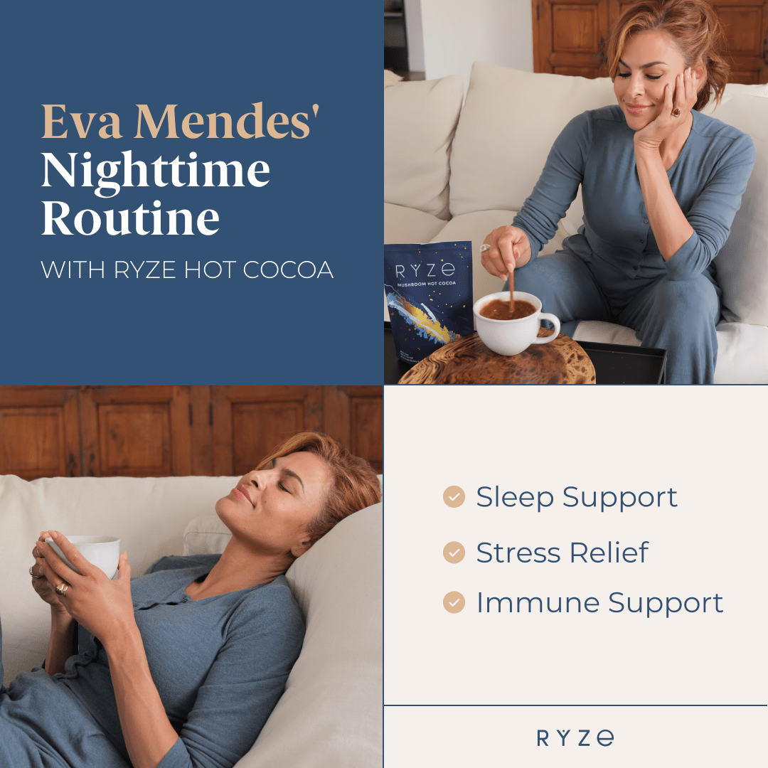 RYZE Hot Cocoa - with 6 Sleep Superfoods to Help Fall Asleep and Stay Asleep Bright M031-053