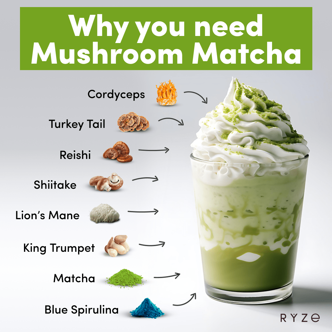 RYZE Mushroom Matcha - with 6 Organic Adaptogenic Mushrooms Grown In USA and Ceremonial-Grade Japanese Matcha Choice M031-094