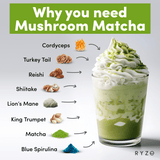 RYZE Organic Mushroom Matcha Starter Kit (60 servings) Fresh M031-092